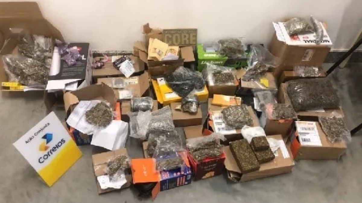 11 quilos de drogas são encontrados em embalagens de panetones, eletros e brinquedos em Camaçari