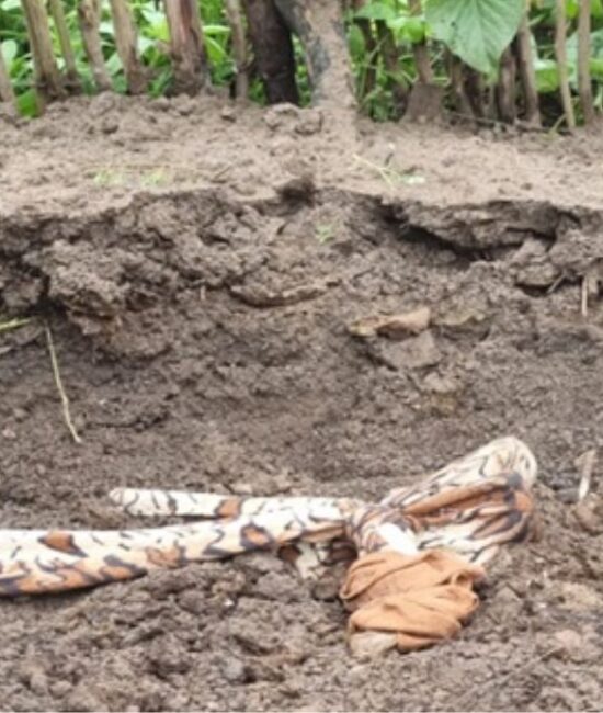 Corpo é encontrado enterrado em quintal de residência em Amélia Rodrigues 