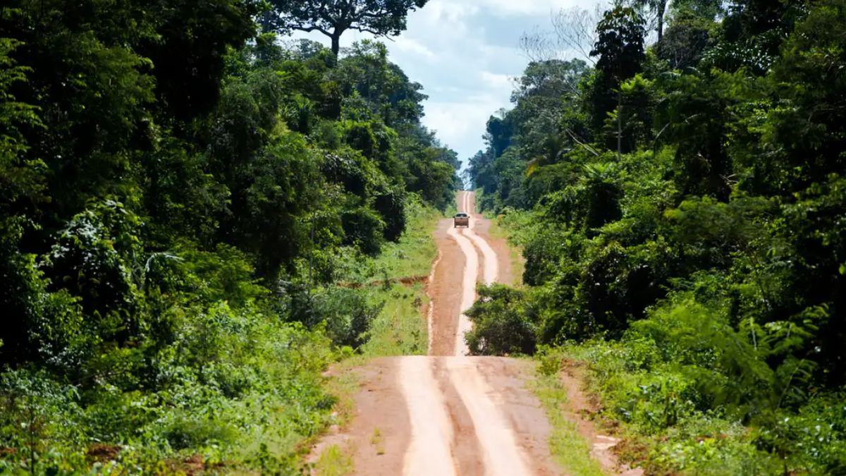 Amazônia: degradação afeta área três vezes maior que desmatamento 