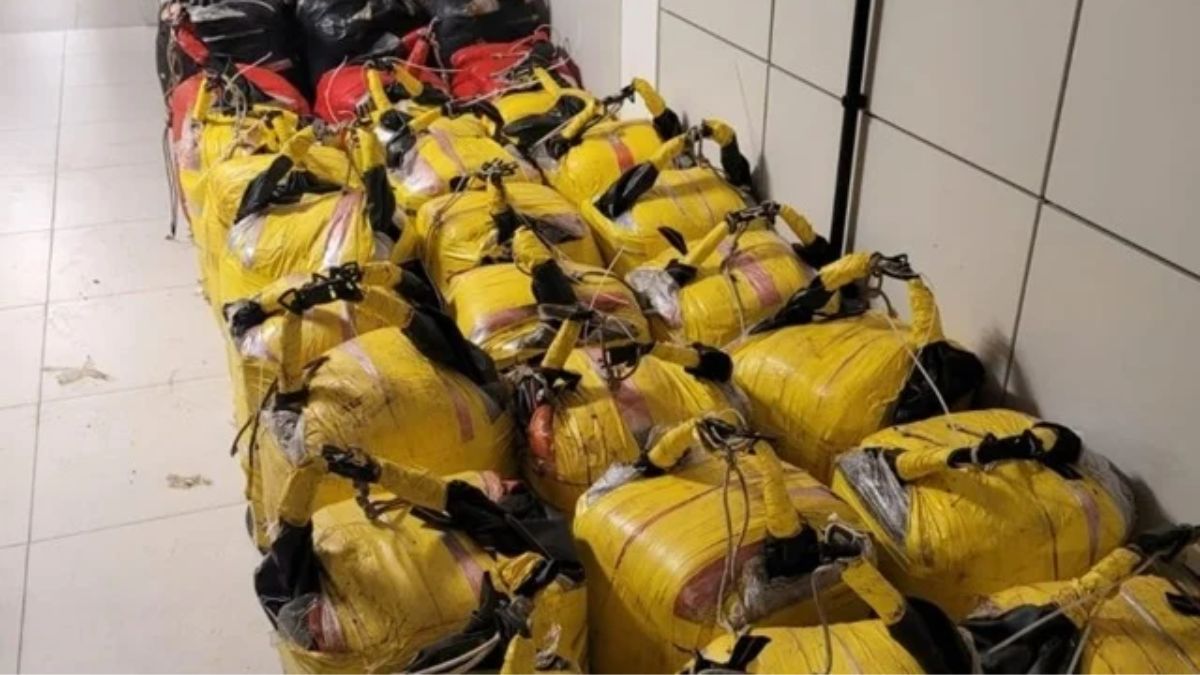 Operação apreende mais de 1 tonelada de cocaína na Bahia; suspeita é que droga atravessaria Atlântico