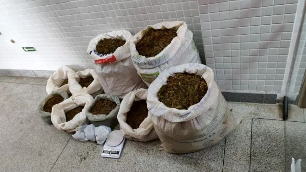 Operação Alvorada combate ao tráfico de drogas em cidades baianas; 46 kg de maconha são apreendidos 