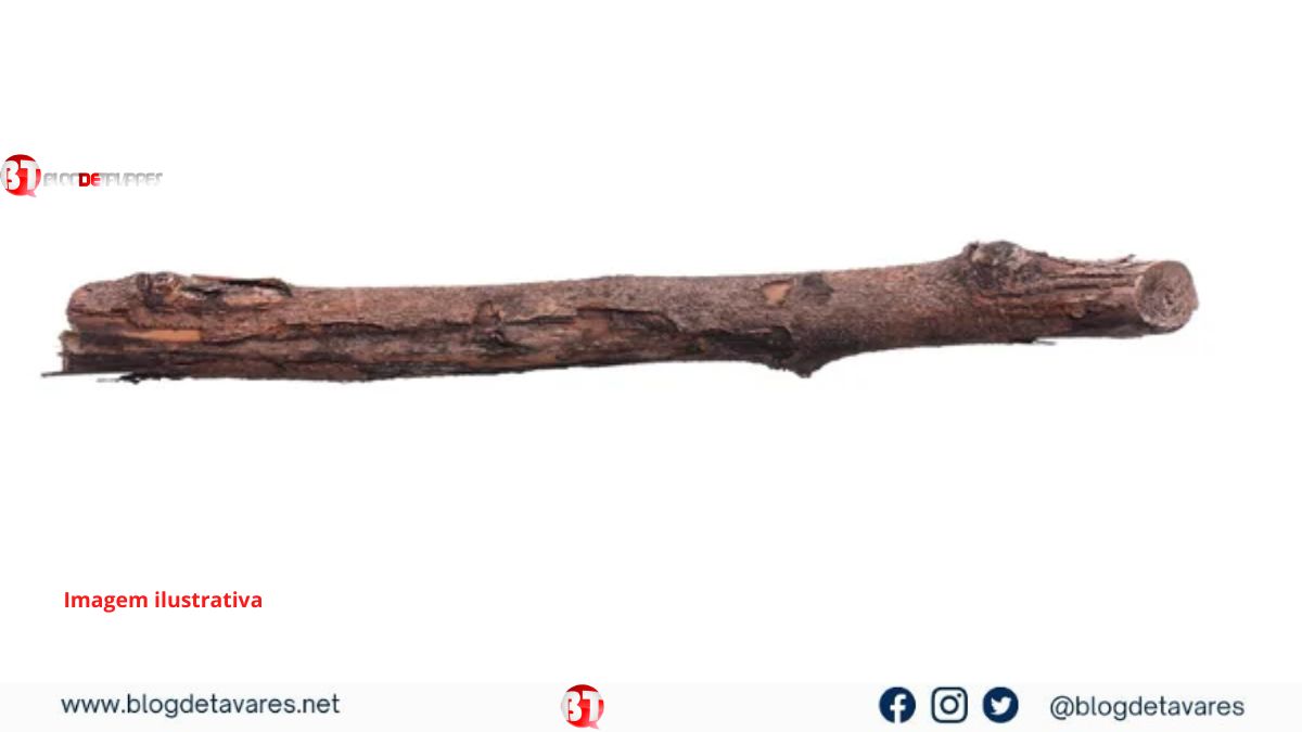 Irmã agride irmão com pedaço de pau em Irará