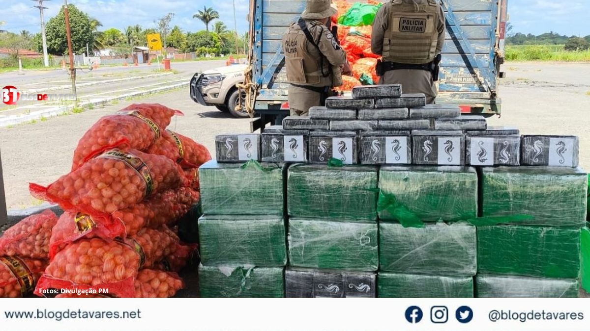 PMBA realiza apreensão de mais de meia tonelada de drogas e prende suspeito em flagrante