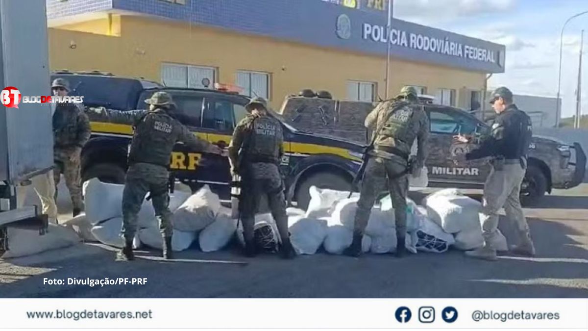 Forças estaduais e federais interceptam 781 kg de maconha na BR-235 