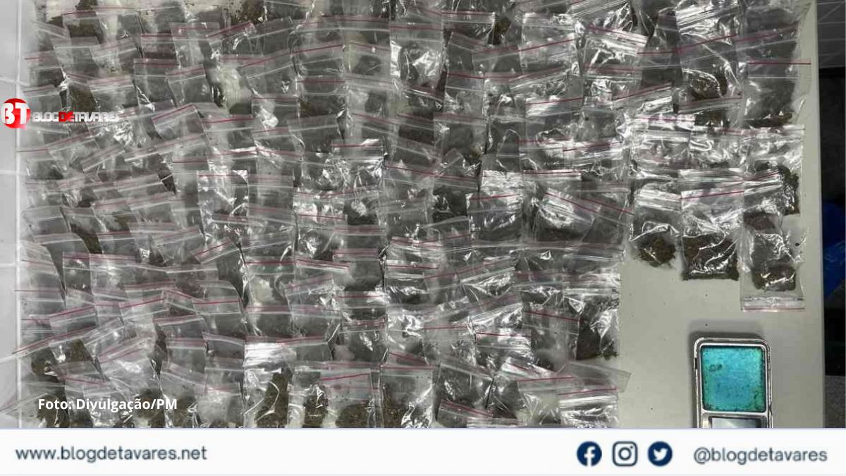 PM apreende 237 buchas de maconha em São Gonçalo dos Campos 