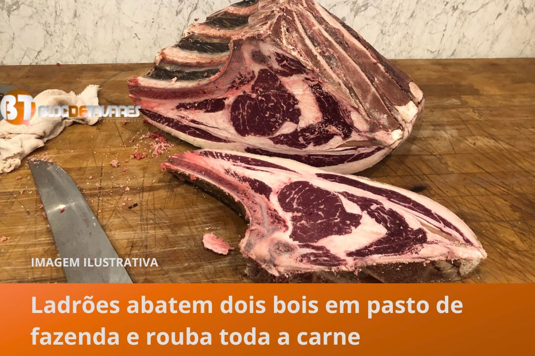 Ladrões abatem dois bois em pasto de fazenda em Santanópolis e roubam toda a carne