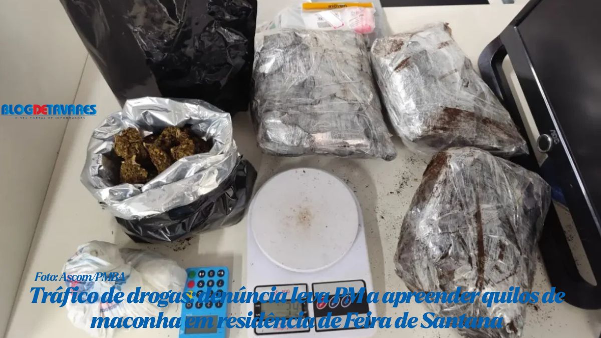 Tráfico de drogas: denúncia leva PM a apreender quilos de maconha em residência de Feira de Santana 