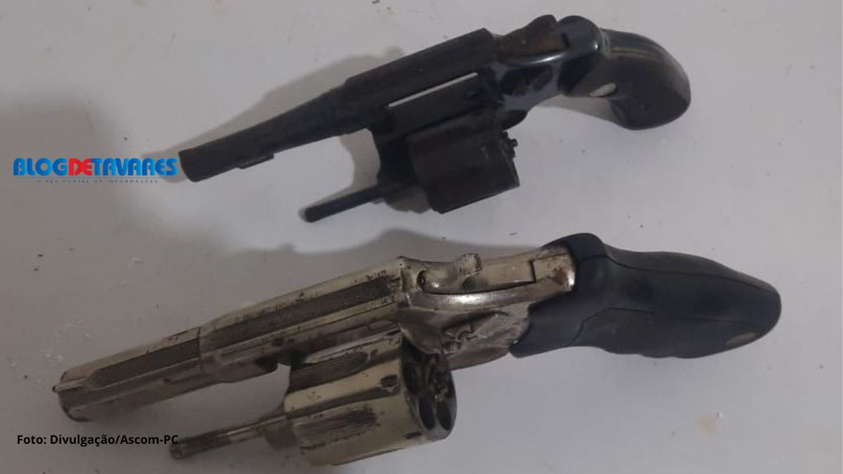 PM apreende armas, drogas e plantação de maconha