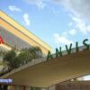Anvisa manda recolher antibiótico após identificar fragmento de vidro em frasco; saiba lote 