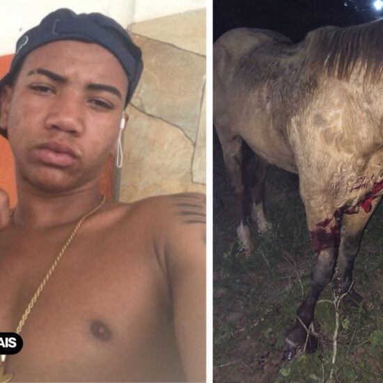 IRAR&Aacute;: jovem motociclista atropela animal e n&atilde;o resiste aos ferimentos; foi a &oacute;bito