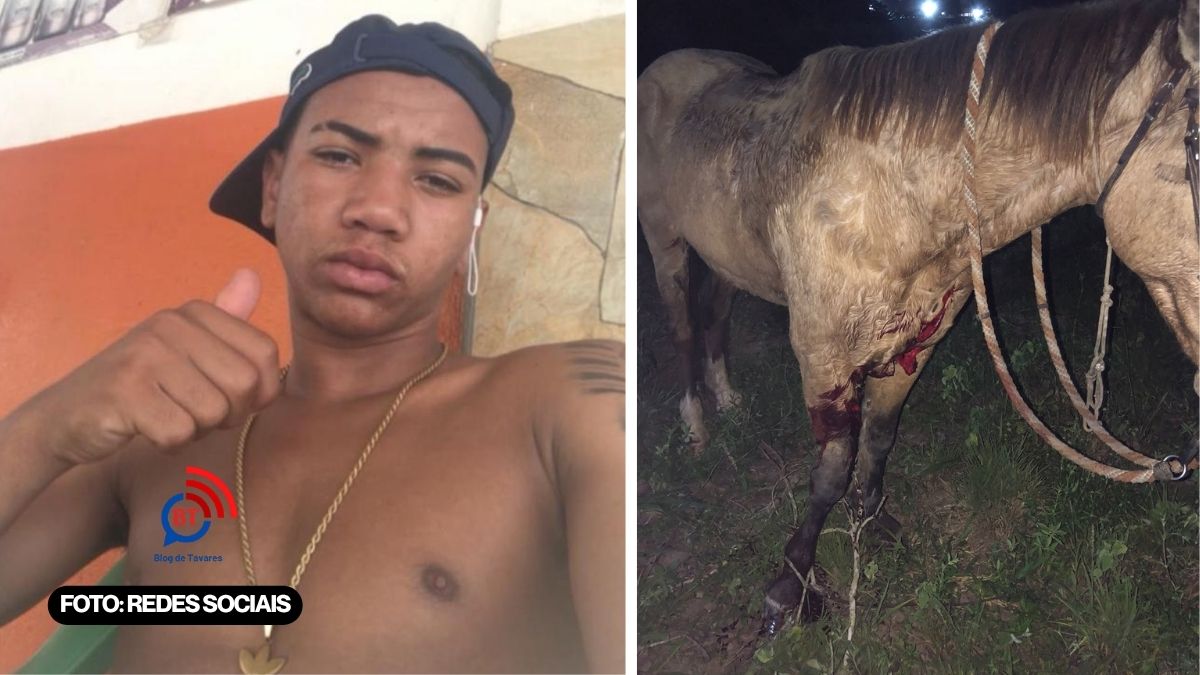 IRARÁ: jovem motociclista atropela animal e não resiste aos ferimentos; foi a óbito