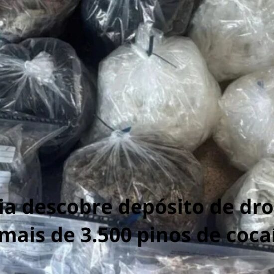 Pol&iacute;cia descobre dep&oacute;sito de drogas com mais de 3.500 pinos de coca&iacute;na