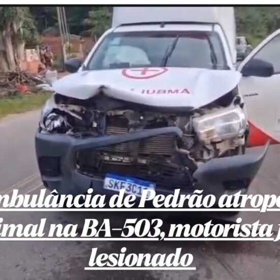 Ambulância de Pedrão atropela animal na BA-503, motorista fica lesionado