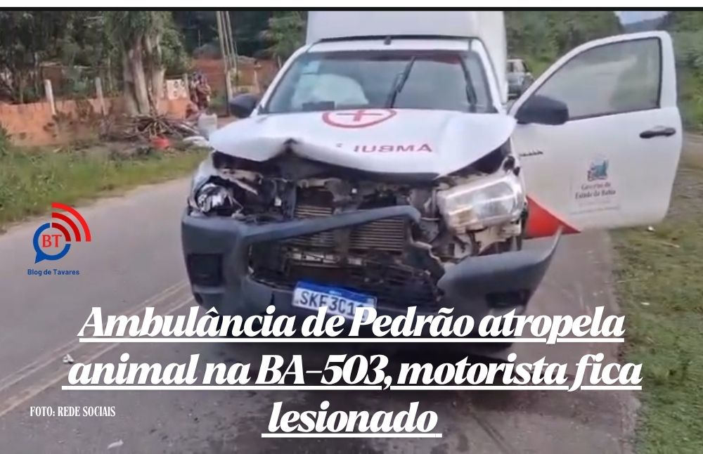 Ambulância de Pedrão atropela animal na BA-503, motorista fica lesionado