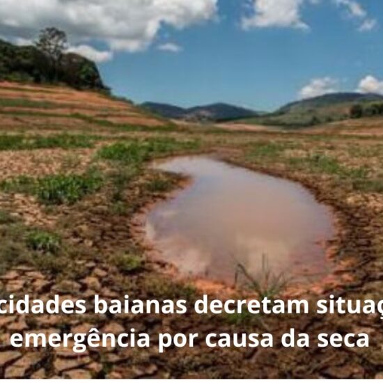 Tr&ecirc;s cidades baianas decretam&nbsp;situa&ccedil;&atilde;o de emerg&ecirc;ncia&nbsp;por causa da seca&nbsp;