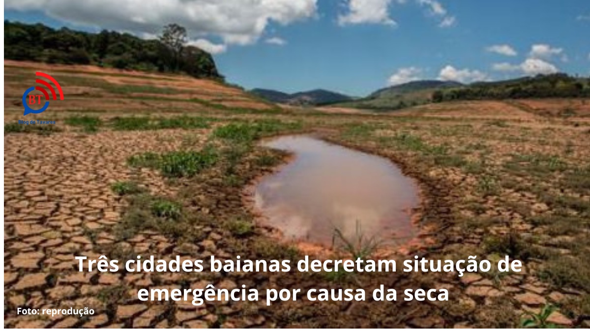 Três cidades baianas decretam situação de emergência por causa da seca 