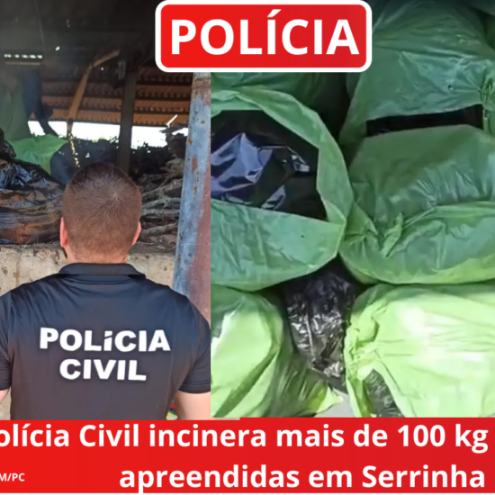 Polícia Civil incinera mais de 100 kg de drogas apreendidas em Serrinha 