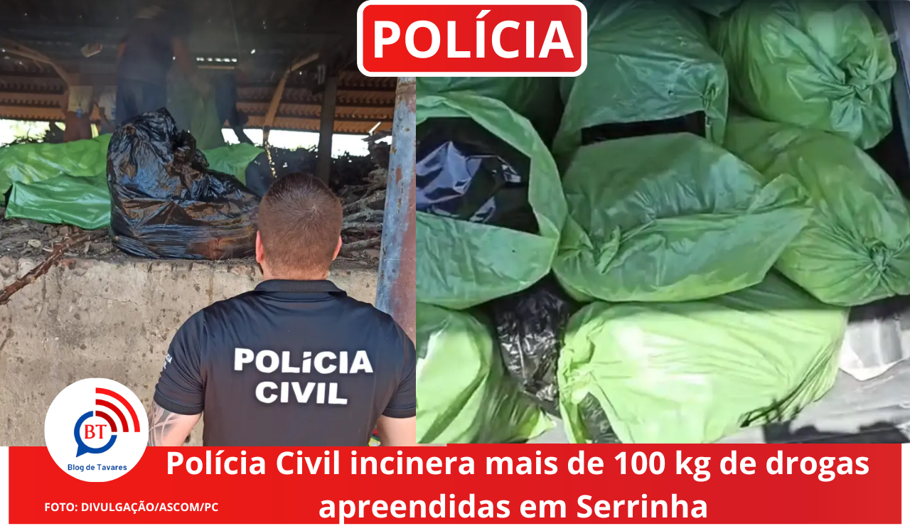 Polícia Civil incinera mais de 100 kg de drogas apreendidas em Serrinha 