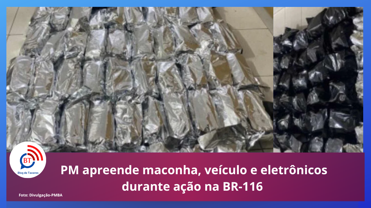 PM apreende maconha, veículo e eletrônicos durante ação na BR-116