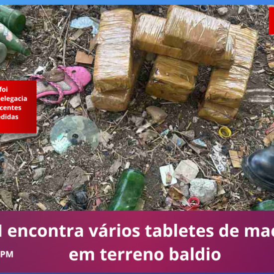 PM encontra vários tabletes de maconha em terreno baldio em Feira de Santana 