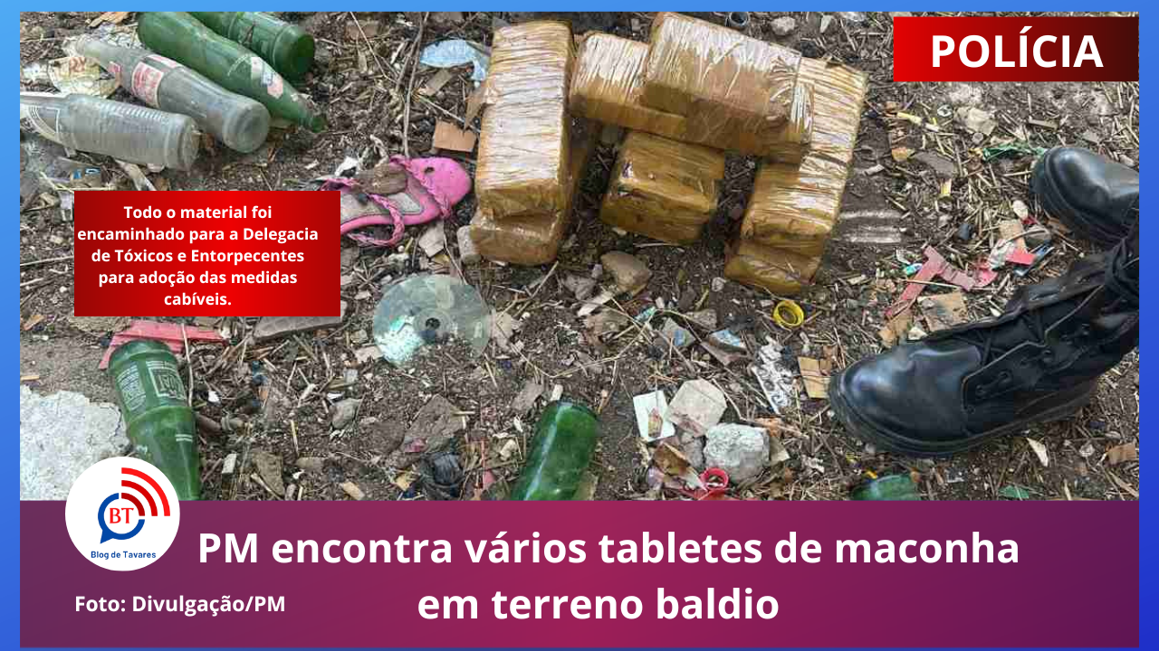 PM encontra vários tabletes de maconha em terreno baldio em Feira de Santana 
